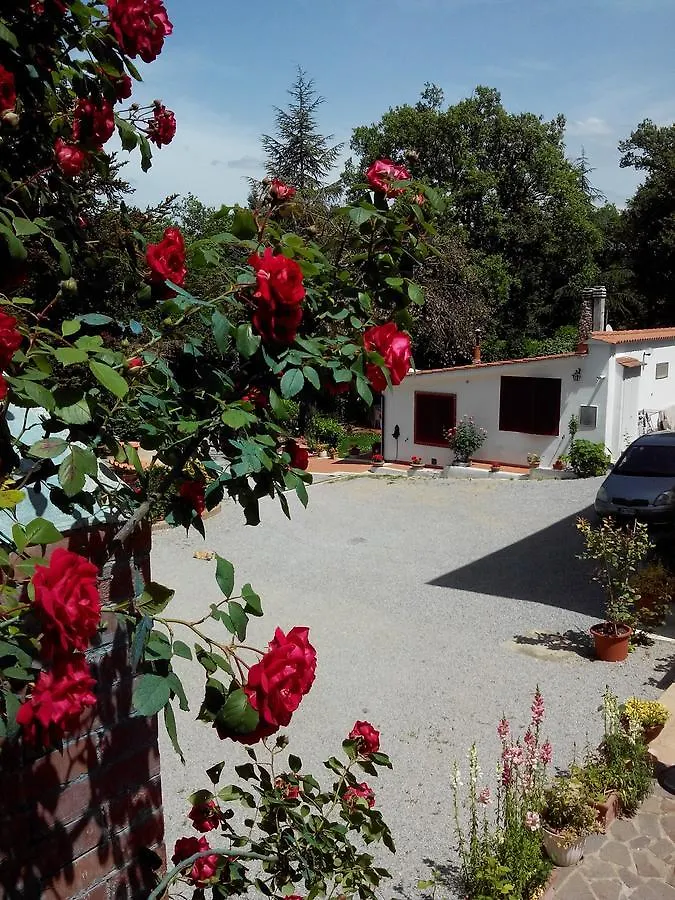 Appartamento Boscodisotto Rapolano Terme Apartment